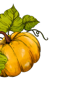 Illustration of pumpkins with green leaves