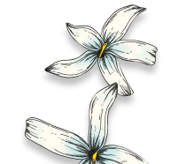 Scent image