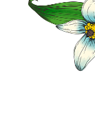 Scent image