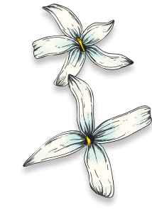 Scent image